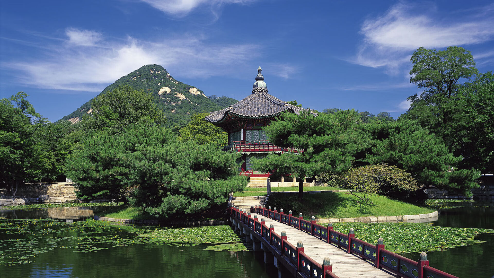 世界乒乓球青年赛晋级名单公示,世界乒乓球青年赛晋级名单公示及图片